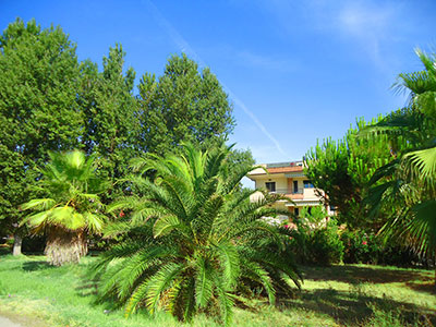 Foto 16
