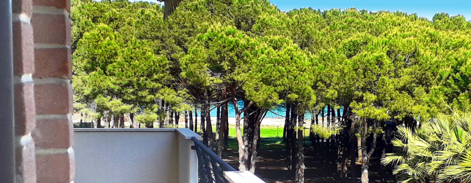 Terrazzo sulla Pineta Fronte Mare